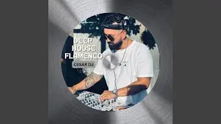 Deep House Flamenco