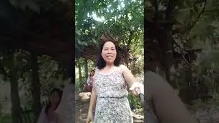 try tayo ng katmon uri Ng prutas