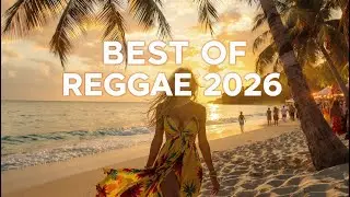 Best Reggae Sunset Vibes Live Stream | Chill Evening Grooves & Night Celebration