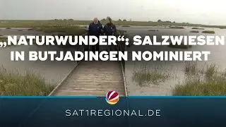 „Naturwunder 2024“: Langwarder Groden nominiert