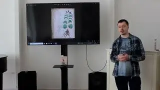 Манускрипт Войнича. Парень расшифровал и выпустил эту книгу.