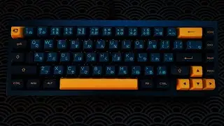QK65 Blue Gold &times; gateron oil king &times; akko macaw keycaps