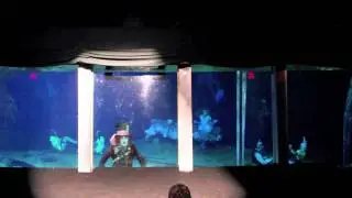 Alice In Waterland