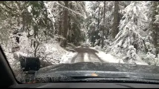 Lolo Pass - Mount Hood