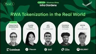 RWA Tokenization in the Real World | Panel Discussion @ Infra Gardens V8 Buenos Aires Devconnect