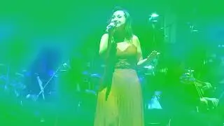 VIDEO FESTIVAL 2025 GALA FINAL