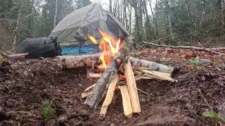 Cozy Rain-Soaked Escape Deep in the Wilderness: Campfire, River, & Endless Trees