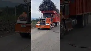 Camiones Incre&iacute;bles #usa #mexico #carreteras_mortales #truck #viral #offroad #camion #truckdriver