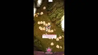 NEWLY OPENED PVP/GVG ORIENTED SERVER! ARTIFICIAL RO!