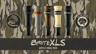 BruteXLS Single Reed Acrylic Cutdown Sound File