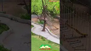 Aalloa Hills Resort | Best Resort For Picnic & Event | Destination Wedding #aalloa #resort #picnic