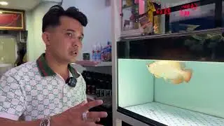 Vấn đề POM BỐI