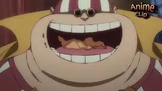 Red Hair Pirates wants to see Luffy