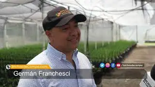 Germ&aacute;n Franchesci, agr&oacute;nomo responsable de Producci&oacute;n del Vivero Citrus de Lules, Tucum&aacute;n