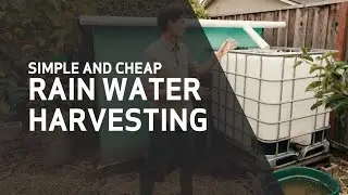 Rainwater Harvesting - Simple and Easy Method