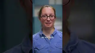 La contestation de paternit&eacute;
