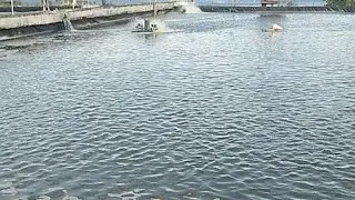 Pond4 Monitor