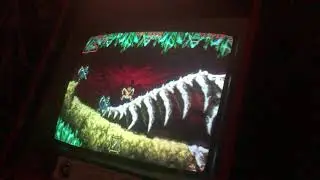 Ghouls n Ghosts Arcade Official Twin Galaxies World Record - 2,415,700 Points
