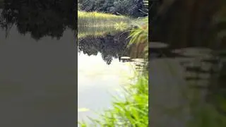 Всем, кого обидели Воздастся! Всем помогут, кто смог грехам не сдаться! #воздастся #песня #музыка