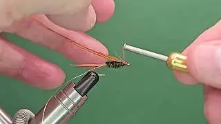 Backscratch Nymph - One Fly A Day