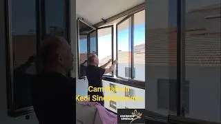 Cam Balkon Kedi Sinekliklerimiz #eskişehir #sineklik #youtubeshorts #ytsh #ytshorts