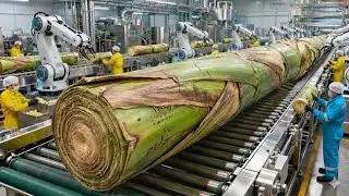Inside the Largest High-Tech Banana Stem Factory You've Never Seen Before (Full Process)