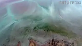 Aerial tracking shot of a river flowing through Papafjordur lagoon, Iceland, August.