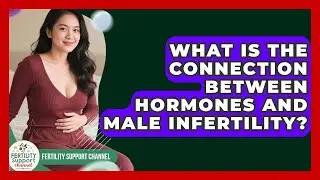 What Is The Connection Between Hormones And Male Infertility? - Fertility Support Channel