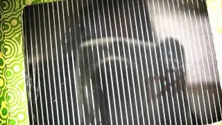 Kinegram Player