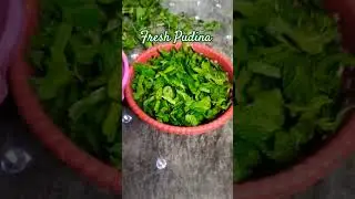 #pudina #mint #music #song #trending #freshmint#minivlog