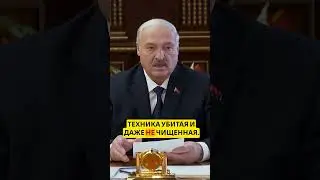 Беларусь после крика Лукашенко: страх прошёл &mdash; проблемы остались