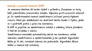 Jaké jsou typy pracovních poměrů a jejich výhody a nevýhody?