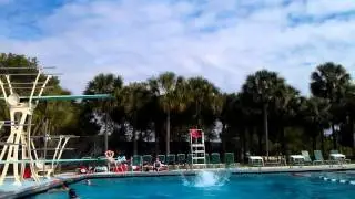 The 3 m dive