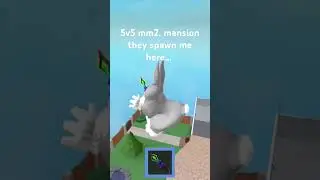 ......