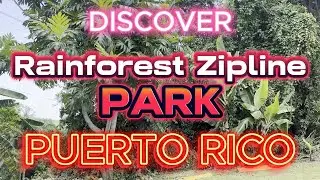 Unforgettable Puerto Rico Rainforest Zipline Experience!