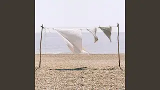 Ploughing The Salt Sea