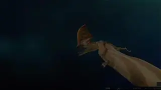 Jurassic World Evolution 3:Caiuajara|VxD|Tapejara(Penúltima Luta)(Lutas Do Grupo A).