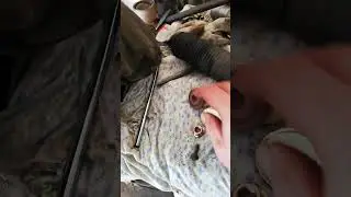 Лайкхак первый☝️ Как не попасть на бабки. Ребилд почти новых койловеров TEIN Flex Z