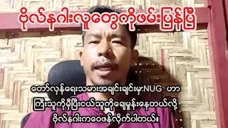 ဗိုလ်နဂါးတပ်ကလူပေါင်း ၂၀ ကျော်ကို PDF ကဖမ်းဆီးလိုက်ပြီ၊ ဗိုလ်နဂါးနဲ့အင်တာဗျူး