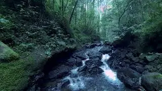 Relaxing River Sound the water flows in a gentle rhythm, the atmosphere relieves stress