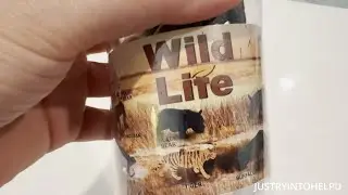 Wild Life Zoo Animals Plastic Container - 16 Piece Safari Block Figure Set - WATCH BEFORE YOU BUY!