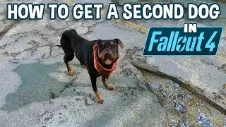 How to Get a Second Dog in Fallout 4 | Your New Junkyard Dog