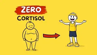 How to Force Your Body to Burn Visceral Fat (Without Starving Yourself)