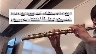 Ibert Concerto In F Minor - Flute Played By @SandiTeacher  