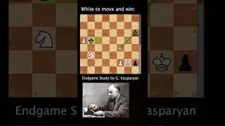 Domination! A Beautiful Chess Endgame Study