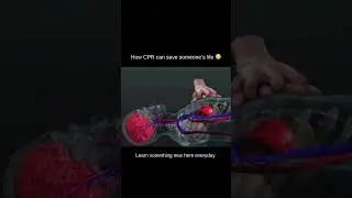 How CPR Can Save a Life | Life-Saving Skill Explained