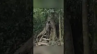 Creating a Hidden Shelter in Tree Roots &ndash; The Ultimate Survival Hideout