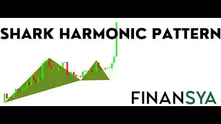 shark harmonic pattern for forex markets