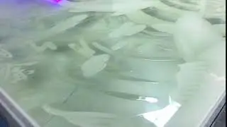 Wanlida Printing videos 13