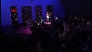 Jami Lynn- Polywogs